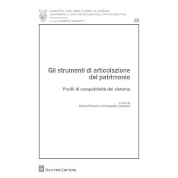 Gli strumenti di articolazione del patrimonio. Profili di competitività del sistema