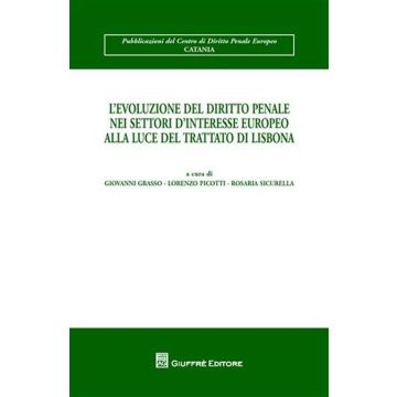 L'evoluzione del diritto penale nei settori d'interesse europeo alla luce del Trattato di Lisbona