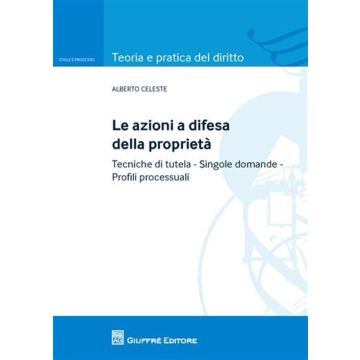 Le azioni a difesa della proprietà. tecniche di tutela. Singole domande. Profili processuali