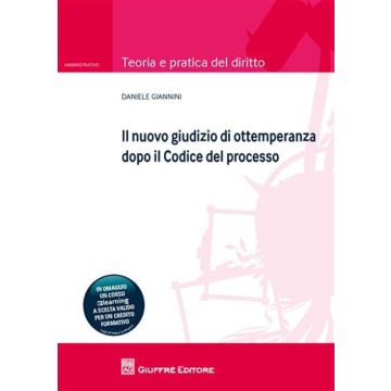 Il nuovo giudizio di ottemperanza dopo il codice del processo