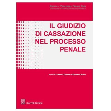 Il giudizio di Cassazione nel processo penale