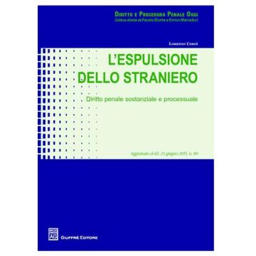 L'espulsione dello straniero. Diritto penale sostanziale e processuale