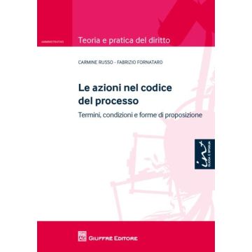 Le azioni nel codice del processo. Termini, condizioni e forme di proposizione