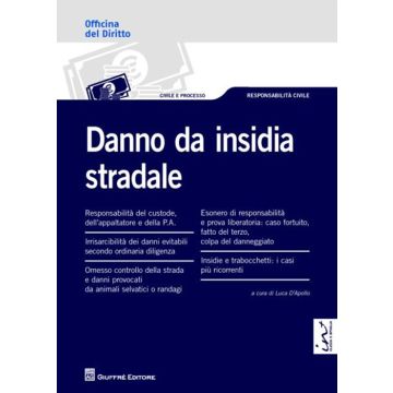 Danno da insidia stradale