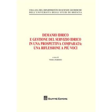 Demanio idrico e gestione del servizio idrico in una prospettiva comparata. Una riflessione a più voci