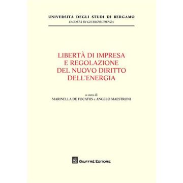 Liberta' di impresa e regolazione del nuovo diritto dell'energia