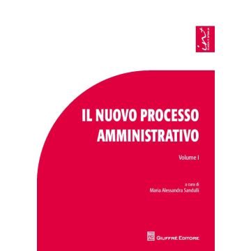 Il nuovo processo amministrativo. Studi e contributi. Vol. 1