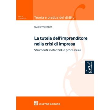 La tutela dell'imprenditore nella crisi di impresa. Strumenti sostanziali e processuali
