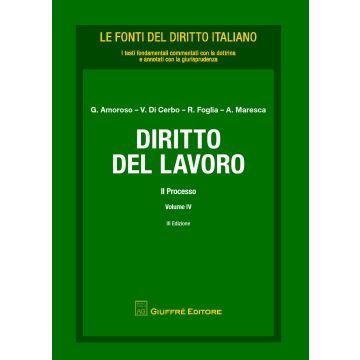 Diritto del lavoro. Vol. 4: Il processo