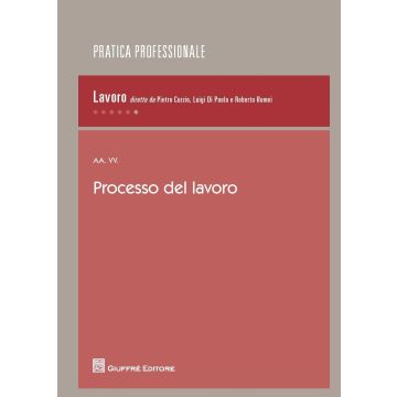 Processo del lavoro