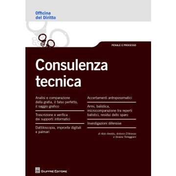 Consulenza tecnica