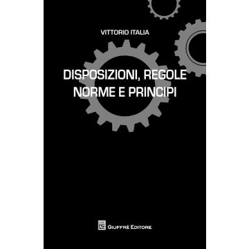 Disposizioni, regole norme e principi