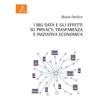 I Big Data e gli effetti su privacy, trasparenza e iniziativa economica