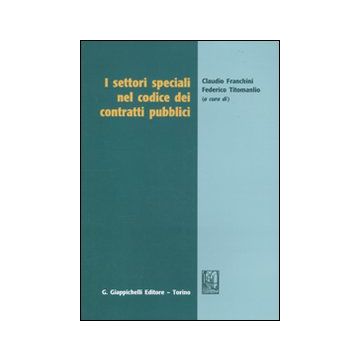 I settori speciali nel codice dei contratti pubblici