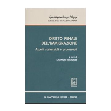 Diritto penale dell'immigrazione. Aspetti sostanziali e processuali