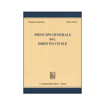 Principi generali del diritto civile