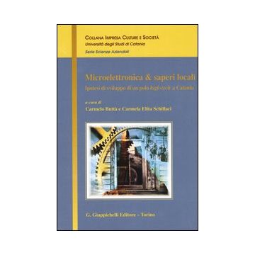 Microelettronica & saperi locali. Ipotesi di sviluppo di un polo high-tech a Catania