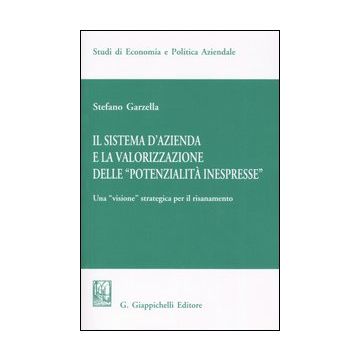 Il sistema d'azienda e la valorizzazione delle «potenzialità inespresse». Una «visione» strategica per il risanamento