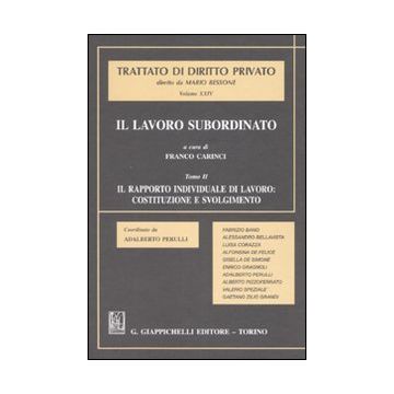 Trattato di diritto privato Vol. 24 - Tomo : Il lavoro subordinato - Il rapporto individuale di lavoro: costituzione e svolgimento