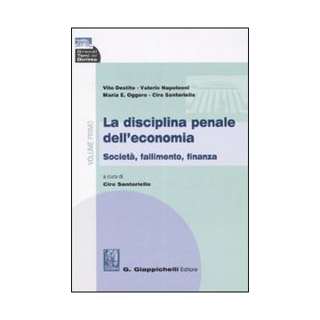 La disciplina penale dell'economia