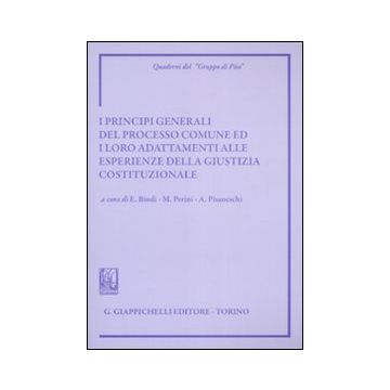 I principi generali del processo comune ed i loro adattamenti alle esperienze della giustizia costituzionale. Atti del Convegno (Siena, 8-9 giugno 2007)