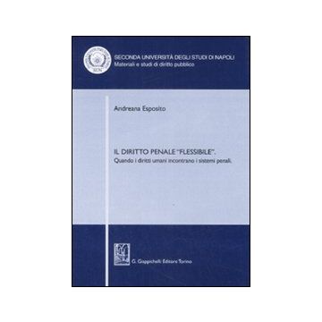 Il diritto penale «flessibile». Quando i diritti umani incontrano i sistemi penali
