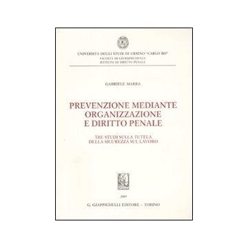 Prevenzione mediante organizzazione e diritto penale. Tre studi sulla tutela della sicurezza sul lavoro