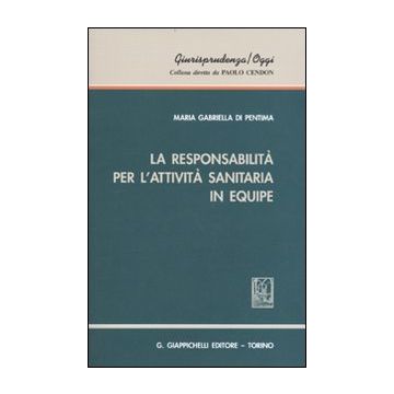 La responsabilità per l'attività sanitaria in equipe