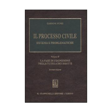 Il processo civile. Sistema e problematiche. Vol. 2: La fase di cognizione nella tutela dei diritti
