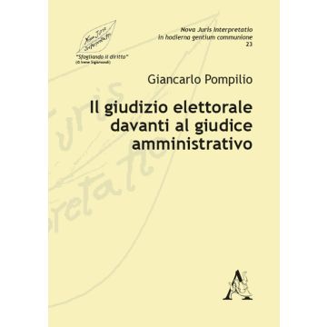 Il giudizio elettorale davanti al giudice amministrativo