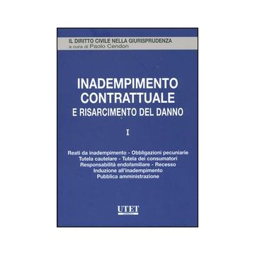 Inadempimento contrattuale e risarcimento del danno. Vol. 1