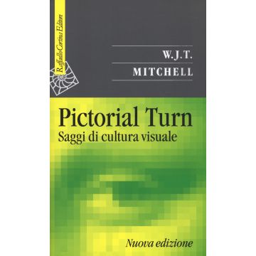 Pictorial turn. Saggi di cultura visuale
