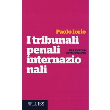 I tribunali penali internazionali. Una piccola introduzione