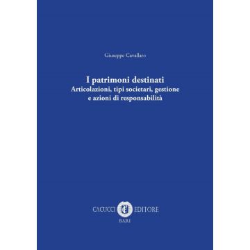 I patrimoni destinati. Articolazioni, tipi societari, gestione e azioni di responsabilità