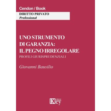 Uno strumento di garanzia. Il pegno irregolare. Profili giurisprudenziali