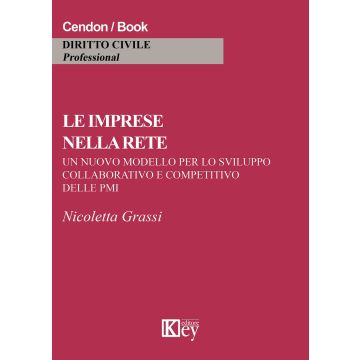 Le imprese nella rete. Un nuovo modello per lo sviluppo collaborativo e competitivo delle PMI