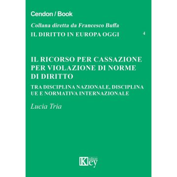 Il ricorso per cassazione per violazione di norme di diritto. Tra disciplina nazionale, disciplina UE e normativa internazionale
