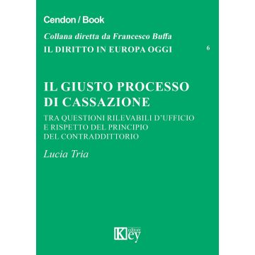 Il giusto processo di cassazione tra questioni rilevabili d'ufficio e rispetto del principio del contraddittorio