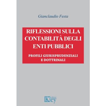 Riflessioni sulla contabilità degli enti pubblici. Profili giurisprudenziali e dottrinali