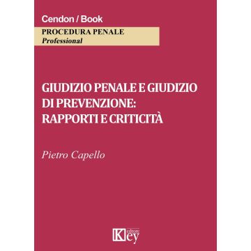 Giudizio penale e giudizio di prevenzione. Rapporti e criticità