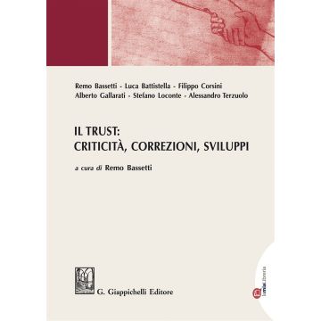 Il trust: criticità, correzioni, sviluppi