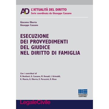 Esecuzione dei provvedimenti del giudice nel diritto di famiglia