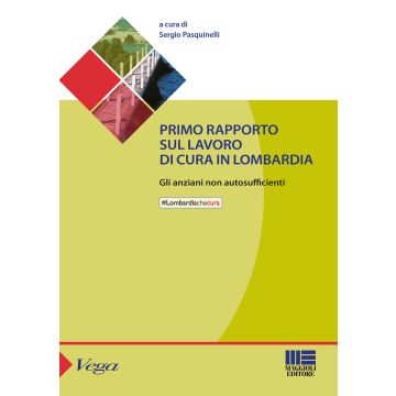 Primo rapporto sul lavoro di cura in Lombardia. Gli anziani non autosufficienti
