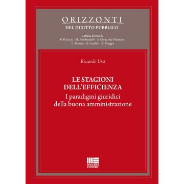 Le stagioni dell'efficienza. I paradigmi giuridici della buona amministrazione