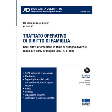 Trattato operativo di diritto di famiglia. Con CD-ROM