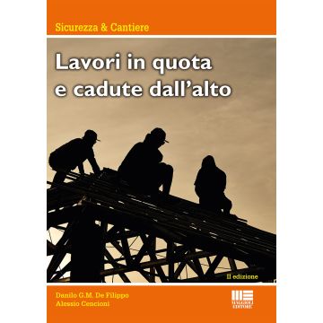 Lavori in alta quota e cadute dall'alto