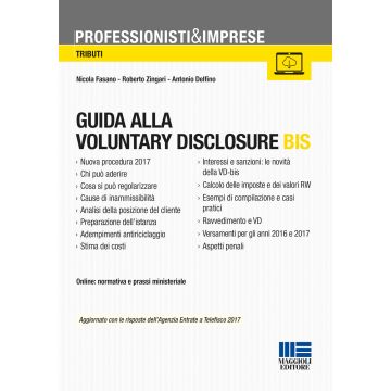 Guida alla voluntary disclosure
