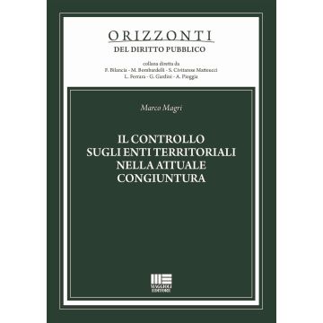 Il controllo sugli enti territoriali nella attuale congiuntura