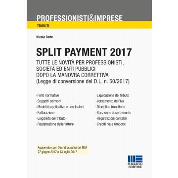 Split payment 2017