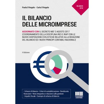 Il bilancio delle microimprese
